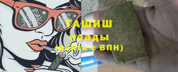 молекула духа Богородицк