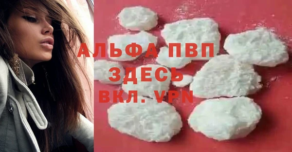 стафф Богданович