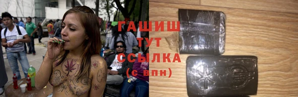 молекула духа Богородицк