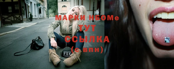 молекула духа Богородицк