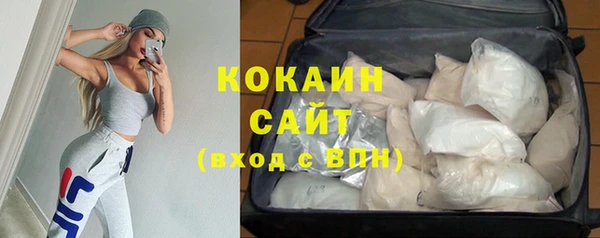 стафф Богданович