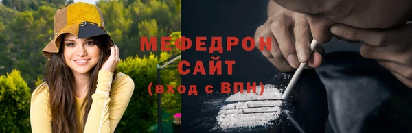 молекула духа Богородицк