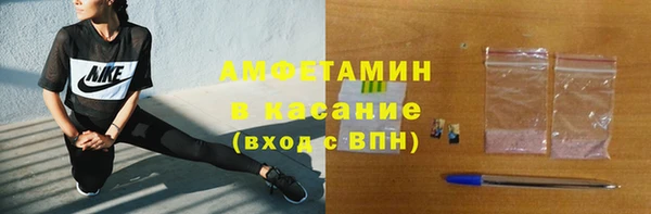 молекула духа Богородицк