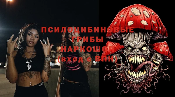 стафф Богданович