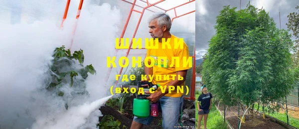 стафф Богданович