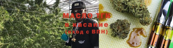 молекула духа Богородицк