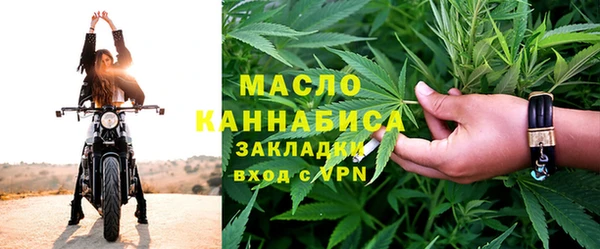 молекула духа Богородицк
